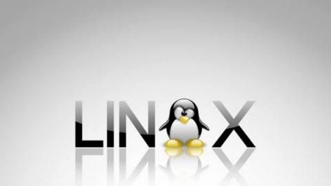 Linux面板体验与推荐