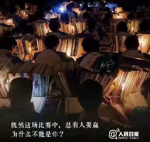 1557487299270185.jpg