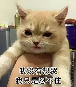 1545992008270350.png